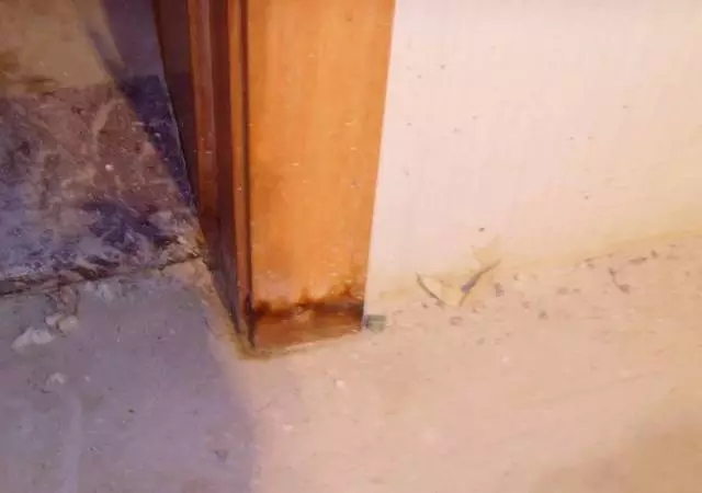 装修如何避免甲醛侵袭,装修六大细节要注意