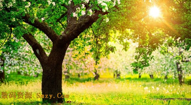 地形训:万物皆有习性,人为何怀胎十月而生?