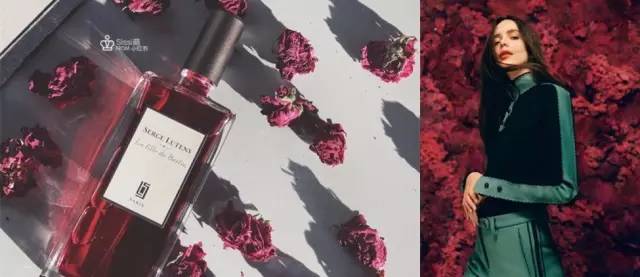 祖马龙芦丹氏,祖马龙芦丹氏阿蒂仙