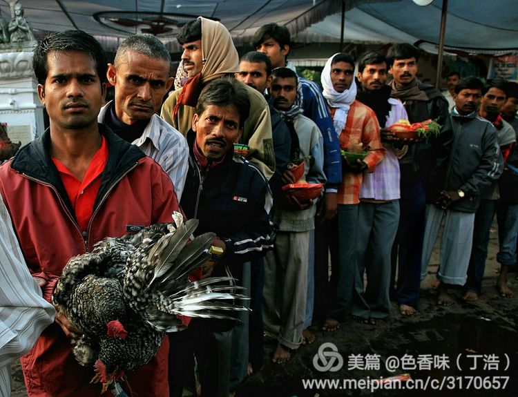 探秘尼泊尔牧羊人,探秘尼泊尔国家森林公园