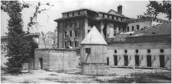 为纳粹造原子弹科学家,纳粹科学家研发药丸