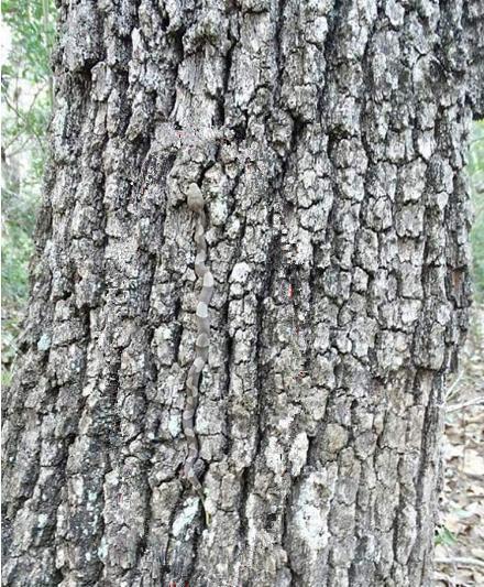 公交车上遇到很贱的人,公交车上遇到渣男