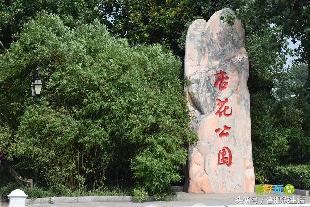 老合肥杏花公园,合肥曾经有两个杏花公园