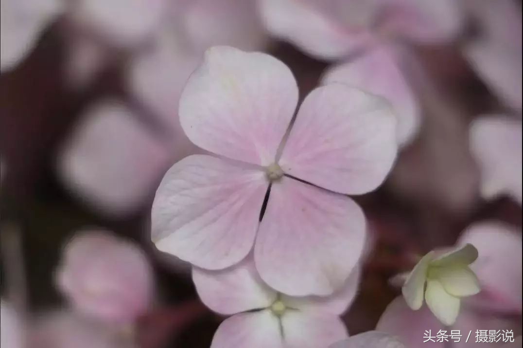 nisi近摄镜使用方法视频,nisi耐司滤镜