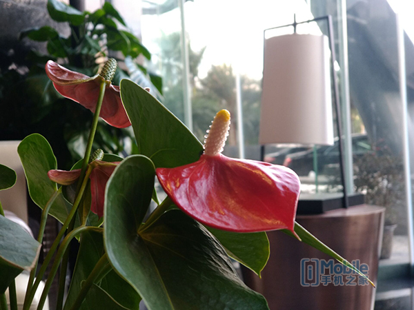 金立m2017最低价,金立m2017标配价格