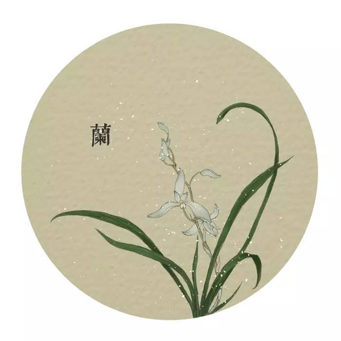 梅兰竹菊文化意象分别是指什么,梅兰竹菊之兰的意象与中国精神