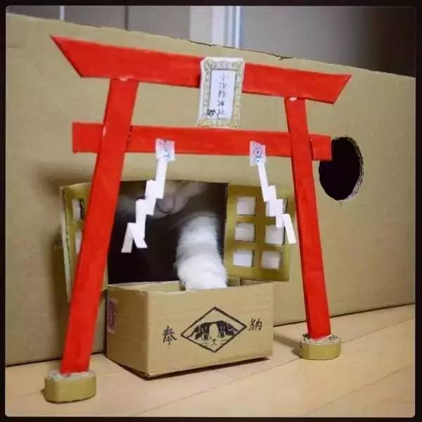 怎么用纸箱做猫屋,猫咪纸箱屋