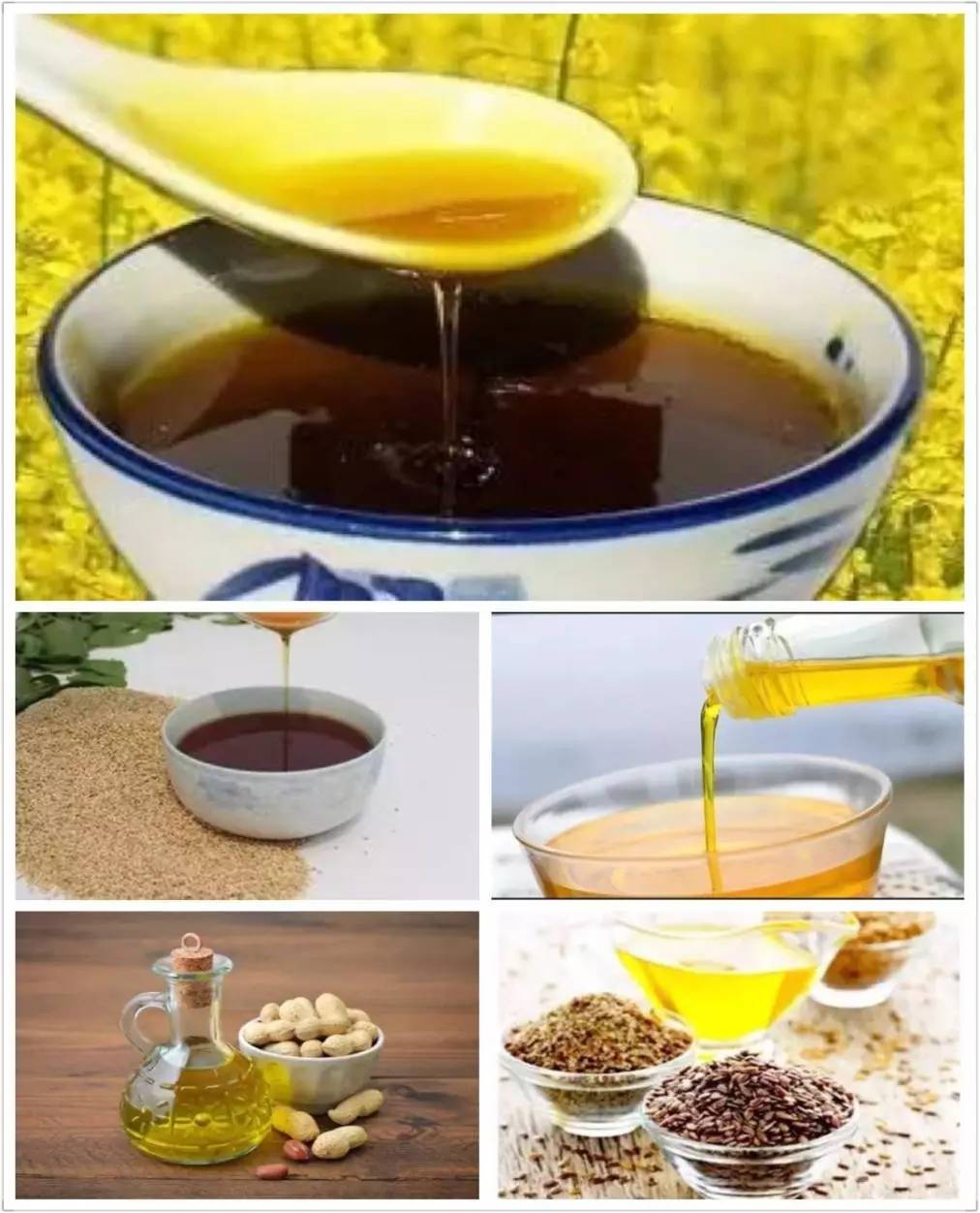 「117医院营养」“千金难买老来瘦“真的好吗？