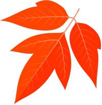 文苑｜艾叶（原创小小说）