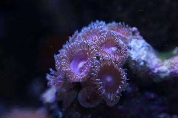 玩的真溜,三千玩出了三万的水平!