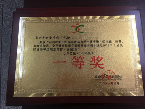 龙岐小学啦啦操队,大型校园啦啦操小学组