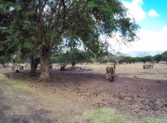 毛里求斯个人集锦,毛里求斯全部记录