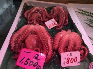 盛世公主号邮轮五日行程安排,千禧号豪华游轮图片