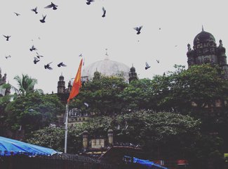 为什么我非得去印度？来啊！放肆吧！去大闹天竺啊！