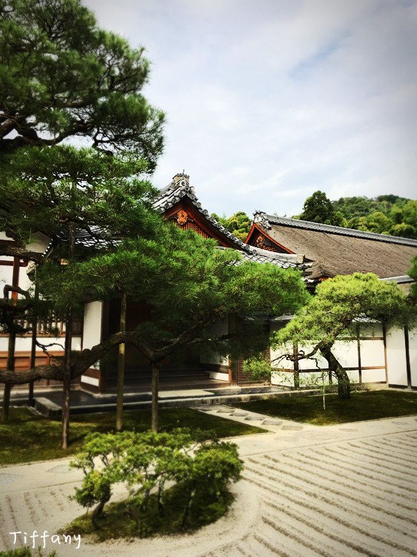 京都10月旅游攻略,京都枫叶季一日游