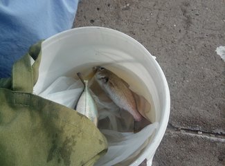 古巴的现状带你了解真实的古巴,古巴最新更新消息