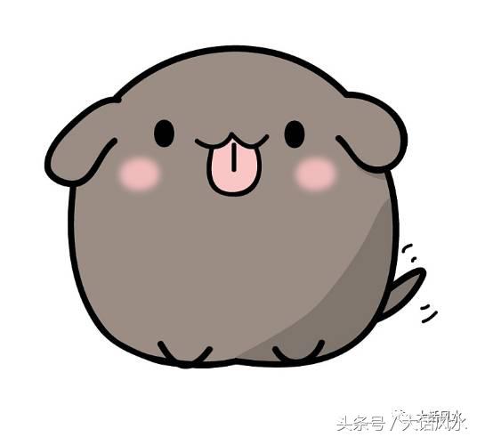 12月28日十二生肖运势详解,12月28日生肖运势播报