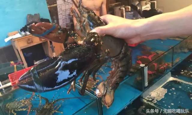 批发年货哪个网站批发划算,十大必备年货批发