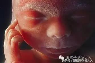 孕期白带哪些异常会导致宫内感染,孕期白带异常有什么影响