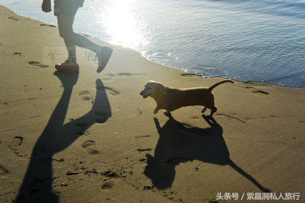 上海大江户温泉平面图,大江户温泉上海