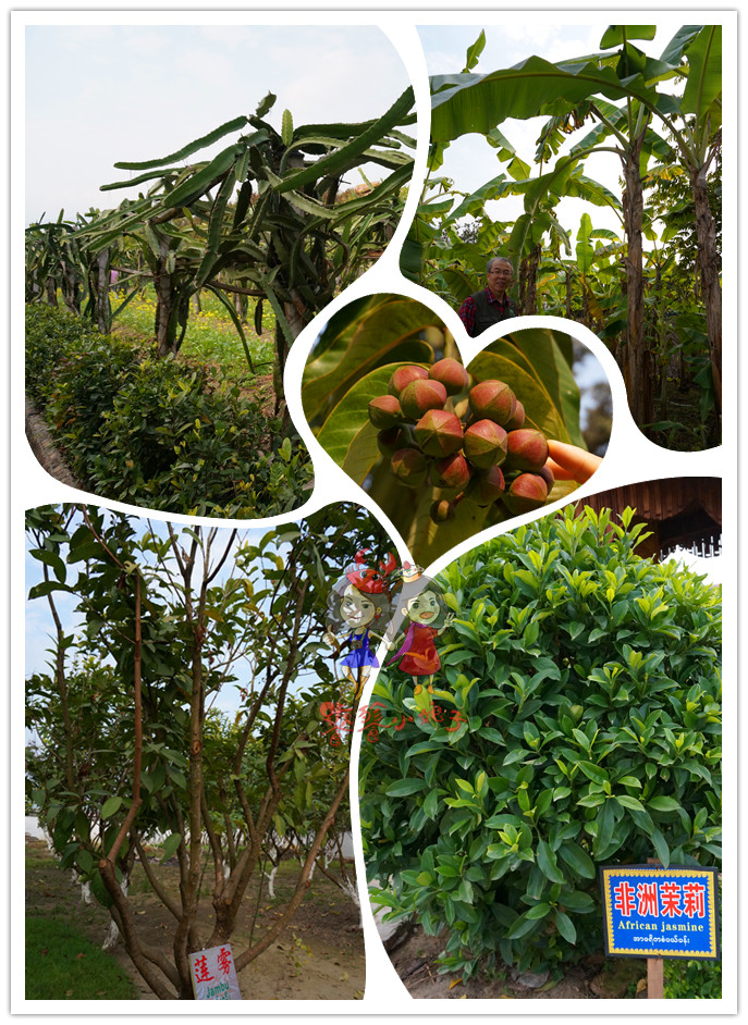 中缅边境瑞丽行,云南到中缅边境自驾游