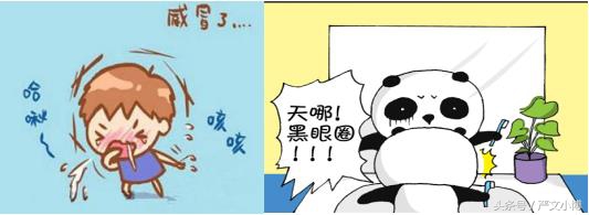 艾叶的功效与作用,艾叶的功效与作用及禁忌论坛