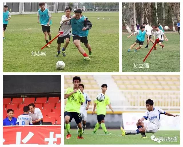 喜讯清溪书屋荣获两项国家级大奖,喜讯瀛洲镇再获三项省级荣誉