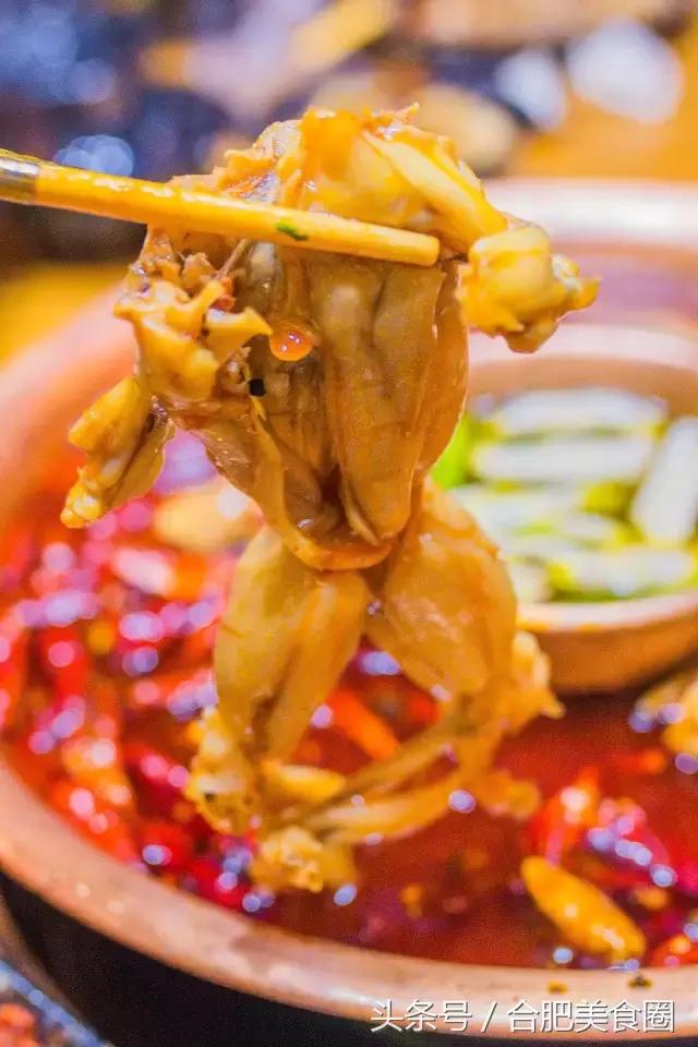 合肥滨湖美蛙鱼头火锅网红店,美蛙鱼头味之绝合肥