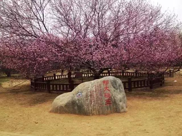 郑州速度！2条新地铁线下月开通，吃喝玩乐去哪儿都不愁