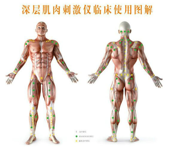 肌肉刺激的正确方法,深层肌肉紧张用什么仪器治疗