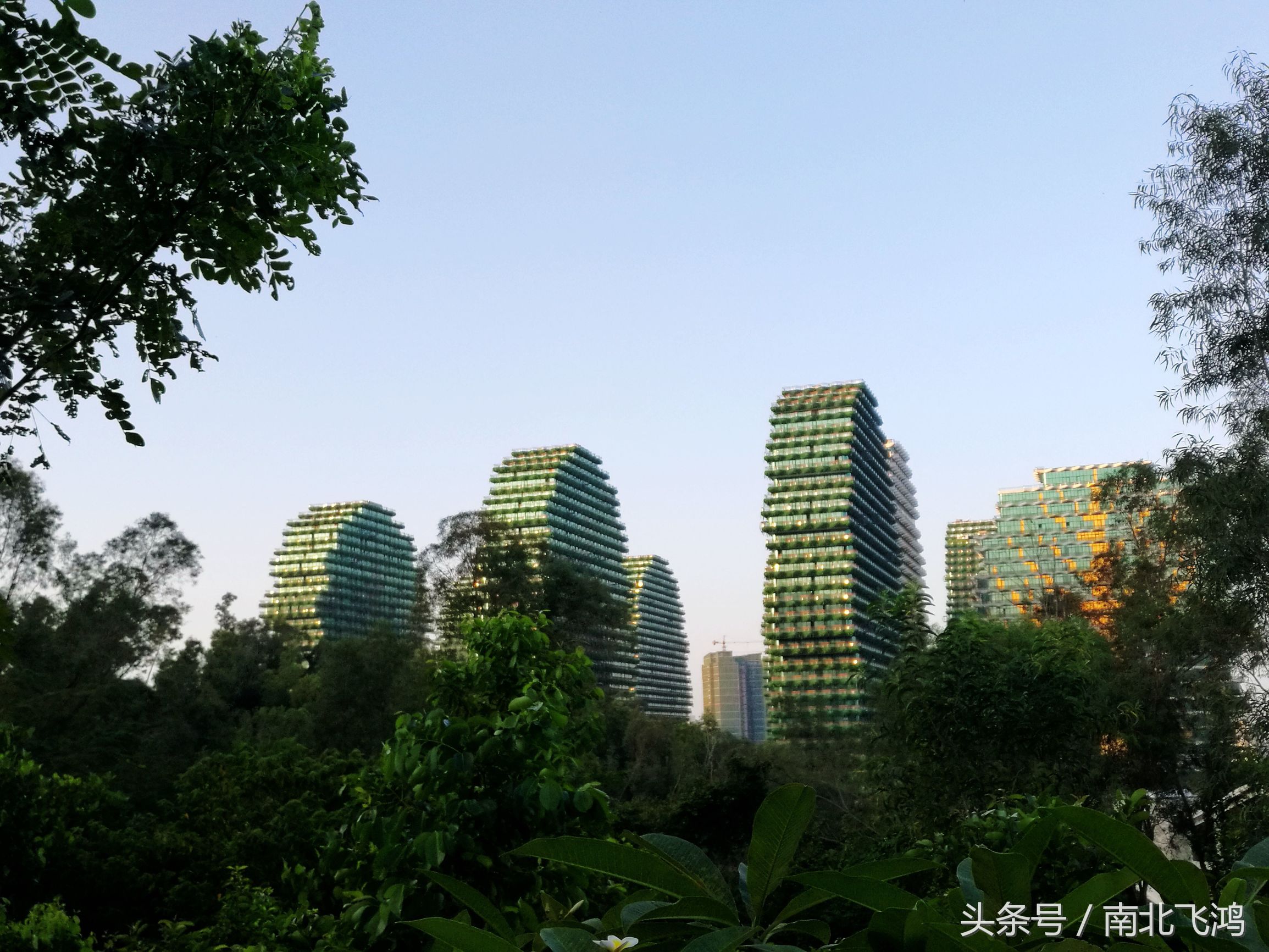 三亚美丽之冠大树公馆,三亚美丽之冠珠宝