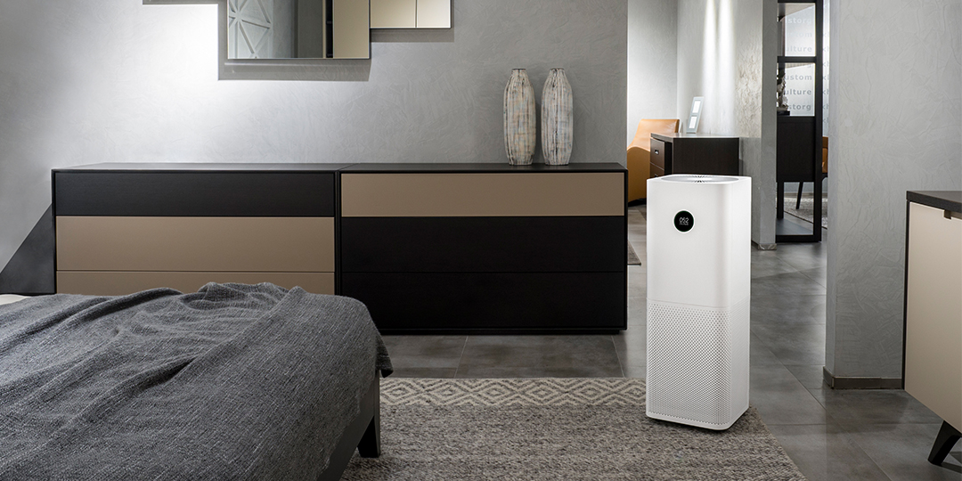 哪些绿色植物可以净化室内空气,室内绿色植物多的优点与缺点