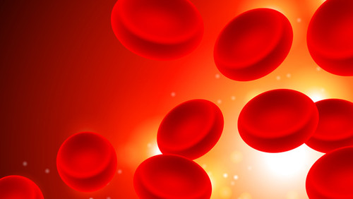 专家多手段治疗再生障碍性贫血,浅谈再生障碍性贫血的治疗