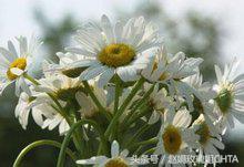 玩魔兽世界的人,玩魔兽世界的人会玩剑网3吗