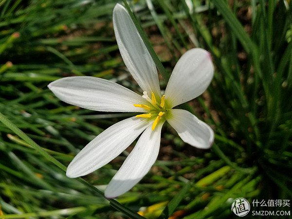 三星galaxys7edge,三星s7edge用了时间长了