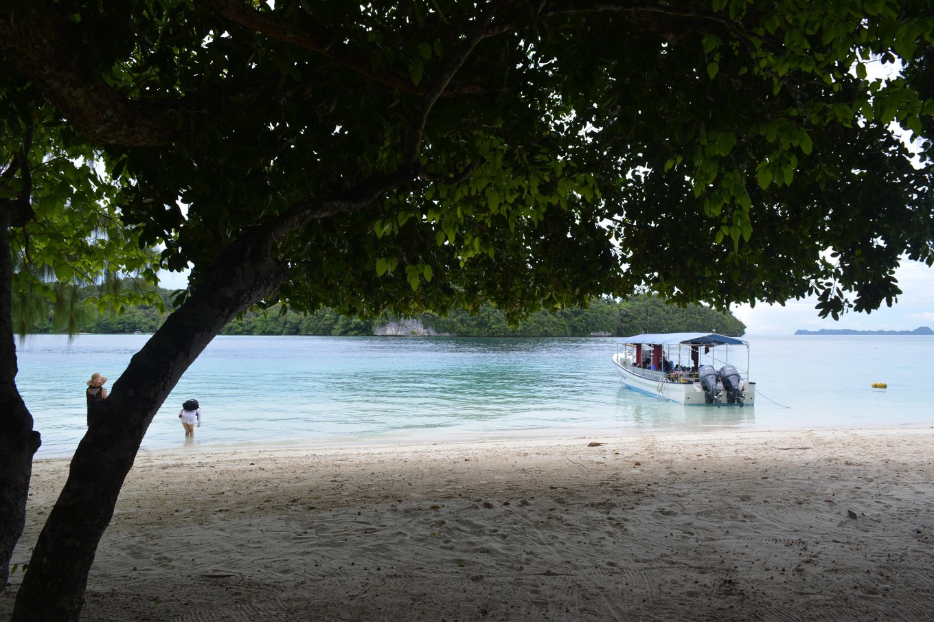帕劳旅行攻略大全图文,帕劳旅行攻略图文大全
