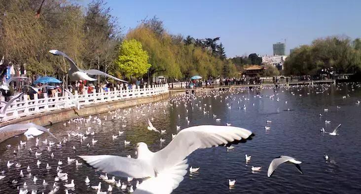 深圳去昆明选哪趟高铁风景好,深圳至昆明高铁沿途风景