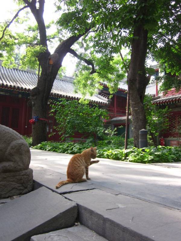 法海寺北京市石景山寺庙,法海所在寺庙