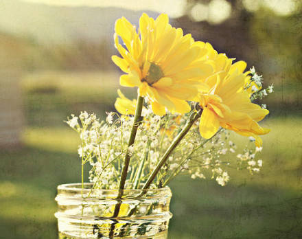 英语电影台词经典语录,英语经典电影台词