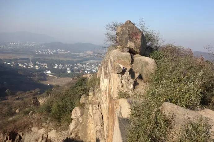 元旦一日线活动丨12.31宜兴听风观竹海，1.1挑战灵树线