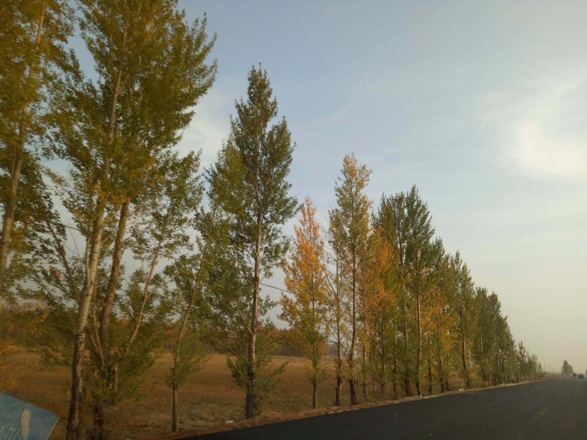 张北天路行,深度还原张北天路