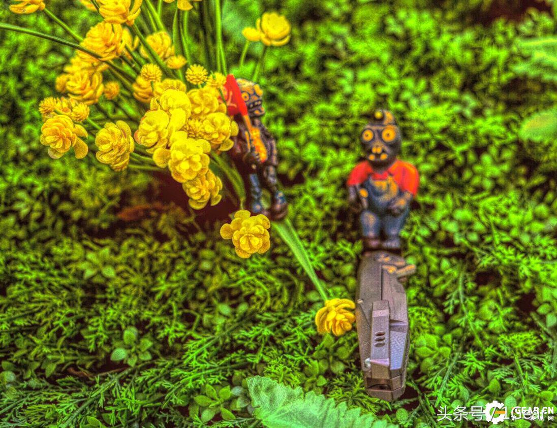 给你来点不一样的最佳战术*刀折**奖得主测评