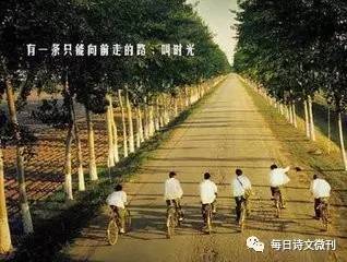 随笔青春的遗憾,随笔青春是一场孤独的盛宴