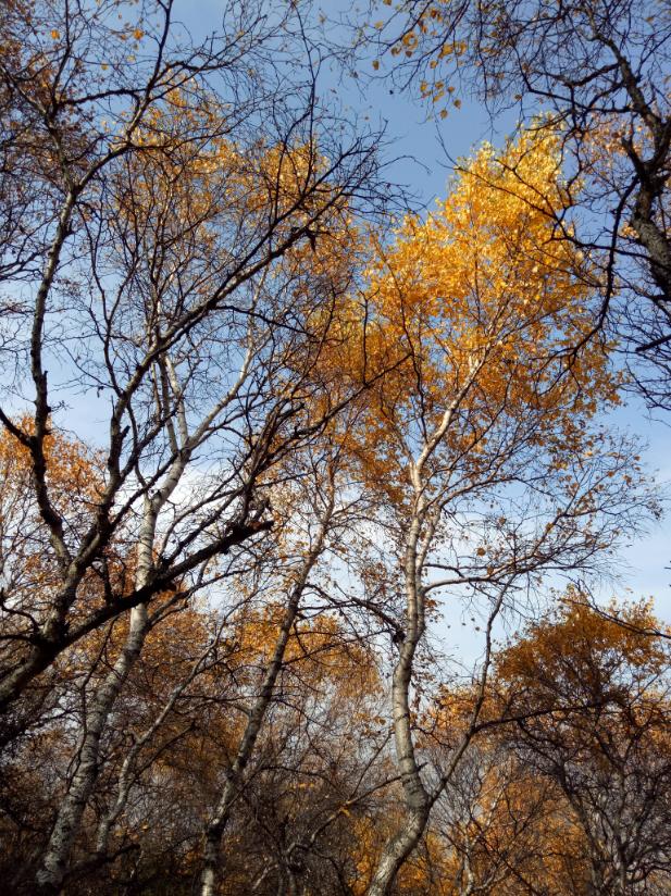 张北天路行,深度还原张北天路