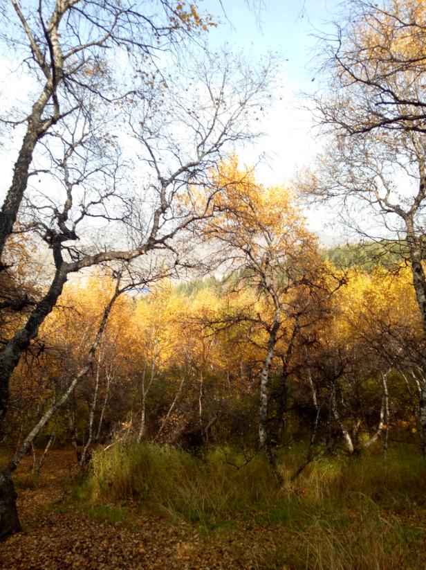 张北天路行,深度还原张北天路