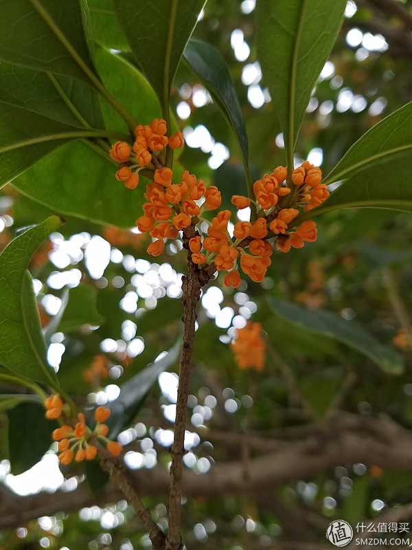 三星galaxys7edge,三星s7edge用了时间长了