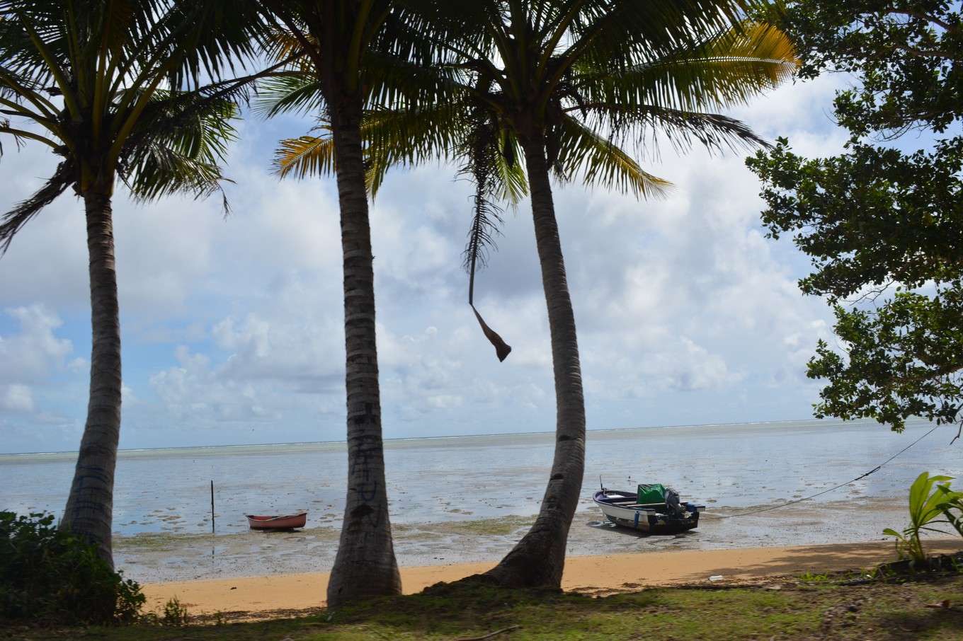 帕劳旅行攻略大全图文,帕劳旅行攻略图文大全