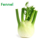 apple苹果的英语是什么,苹果的英语为什么是anapple