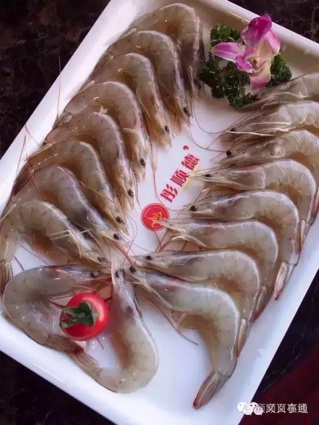 彤顺德海鲜火锅2017会员更多新福利！