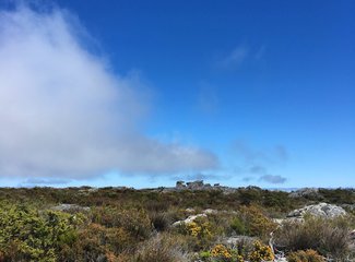 南非彩虹之旅由来,南非彩虹之旅